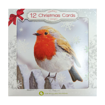 Picture of 12 Christmas Cards - Glitter Pack