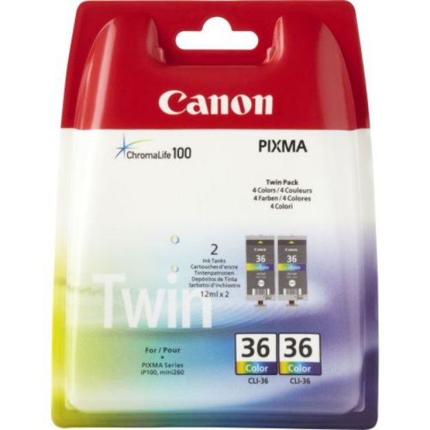 Picture of  Canon Maxify BX110 Colour (Twin Pack) Ink Cartridges